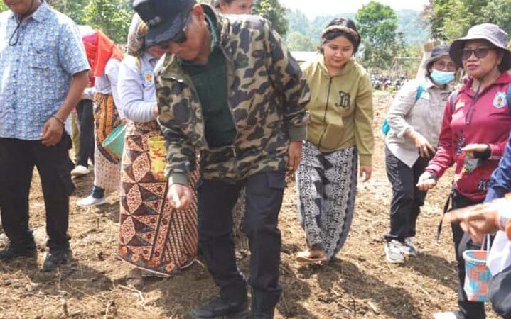 Bupati Mura Laksanakan Tanam Padi Gogo di Kelurahan Saripoi