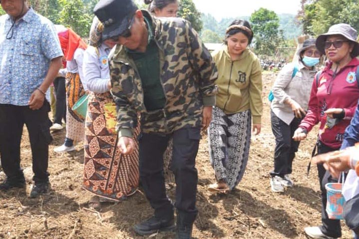 Bupati Mura Laksanakan Tanam Padi Gogo di Kelurahan Saripoi